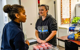 What is the Parent Service Organization?